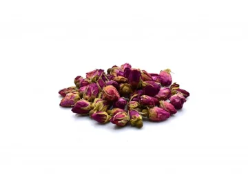 Růže květ poupě – celé